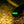 Nano S (Glow In The Dark)